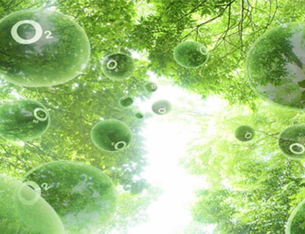 1770259245456291.jpg 1.jpg